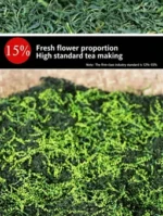 Shexian Chloranthus Scented Green Tea - Image 4