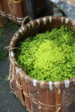 Shexian Chloranthus Scented Green Tea - Image 7